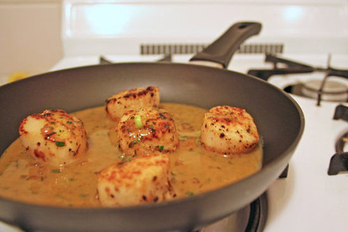 Seared Scallops Seared Scallops