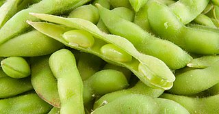 10 Easy, Healthy Snacks for Kids