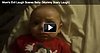 Baby Scared of Mom's Evil Laugh