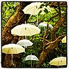 Cool Umbrella Picture