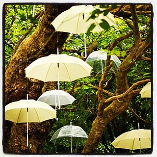 Cool Umbrella Picture
