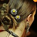 Ponytails and Chignons