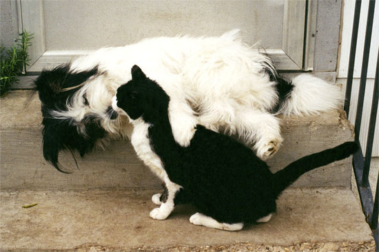 Snuggle Up Snuggle Up