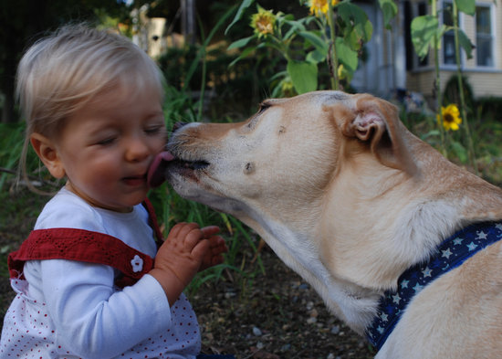 Big Lick Big Lick