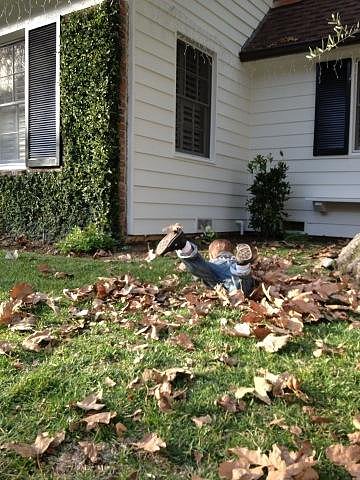 Arthur Bleick had some fun playing in the leaves with mama Selma Blair.
Source: Twitter user SelmaBlair
Arthur Bleick had some fun playing in the leaves with mama Selma Blair.
Source: Twitter user SelmaBlair