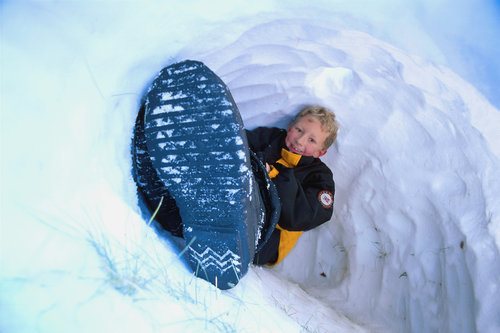 Build an Igloo Build an Igloo