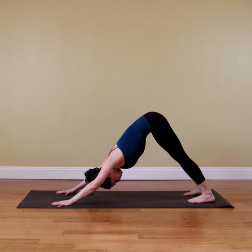 Downward Dog Push-Up