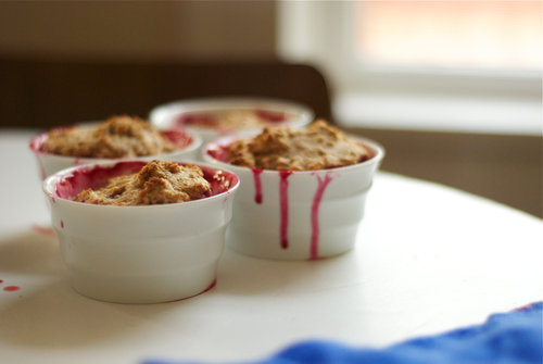 Mini Blackberry Cobblers Mini Blackberry Cobblers