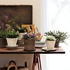 Design News For Feb. 13, 2013