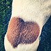 I Heart You Back!