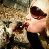 Celebrate Love Your Pet Day