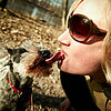 Celebrate Love Your Pet Day