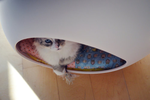 Playtime Playtime