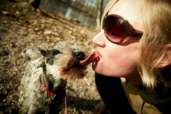 Cuddle Up: How to Show Your Pet Lots of Love Cuddle Up: How to Show Your Pet Lots of Love