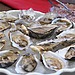 Oysters 