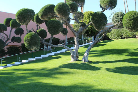 Whimsical Pruning