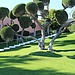 Whimsical Pruning