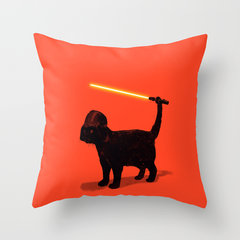 Star Wars Cat