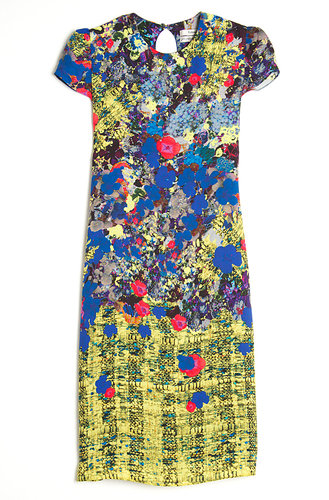 Erdem Aurelia Shift Dress
