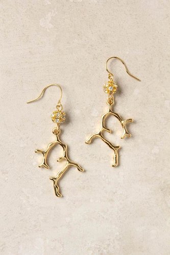 Staghorn Reef Earrings