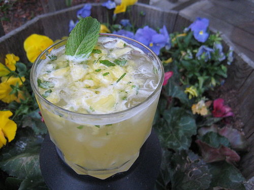 This tequila cocktail recipe includes pineapple, mint, white tequila, and lemon-lime soda for a refreshing sip.
This tequila cocktail recipe includes pineapple, mint, white tequila, and lemon-lime soda for a refreshing sip.