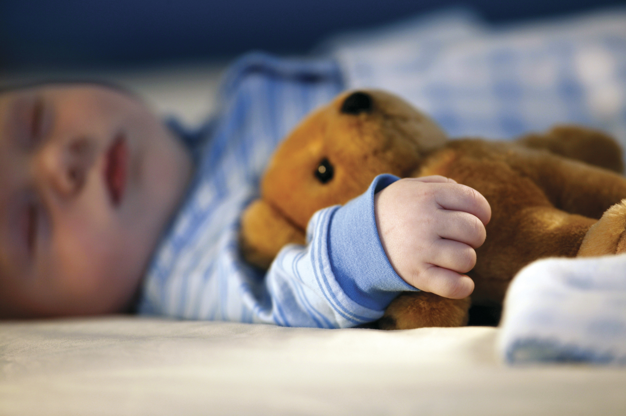 A Treasured Stuffed Animal A Treasured Stuffed Animal