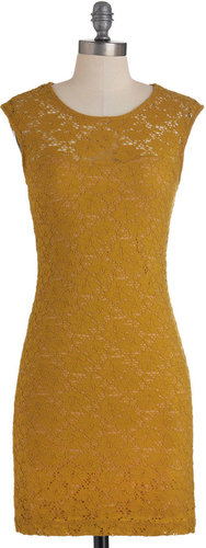 Gold Lace at the Zoo