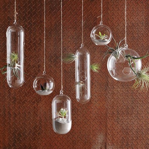 Shane Powers Hanging Glass Bubble Collection