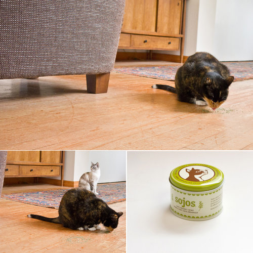 Sojos Organic Catnip Sojos Organic Catnip