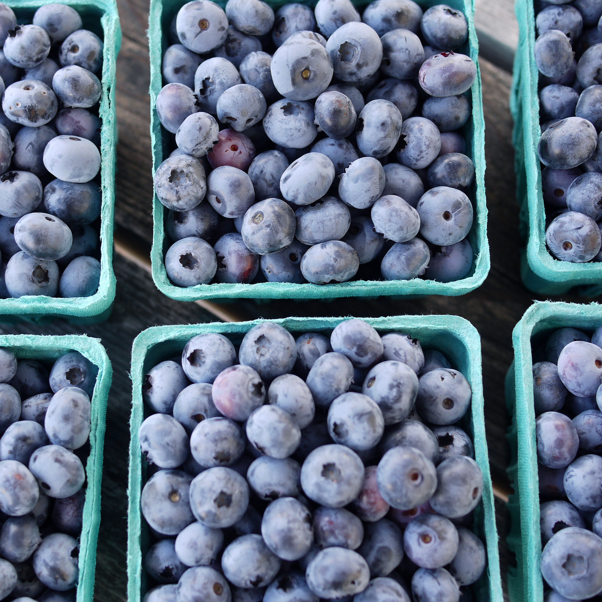 Blueberries