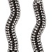 Disco Serpents