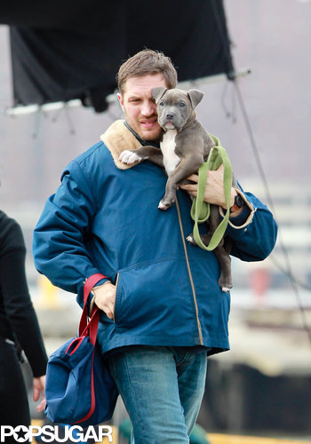 Tom Hardy Cuddles Up to a Canine Costar on Set Tom Hardy Cuddles Up to a Canine Costar on Set