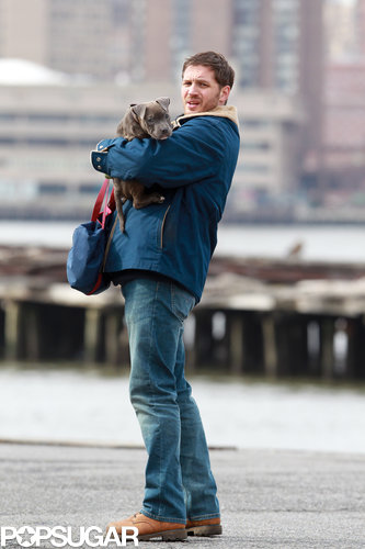 Tom Hardy Cuddles Up to a Canine Costar on Set Tom Hardy Cuddles Up to a Canine Costar on Set