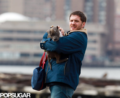 Tom Hardy Cuddles Up to a Canine Costar on Set Tom Hardy Cuddles Up to a Canine Costar on Set