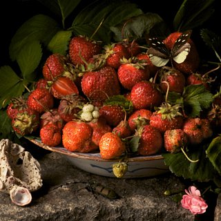 Photography That Looks Like Old Master Paintings
