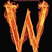 Witch and Wizard series (James Patterson and Gabrielle Charbonnet)