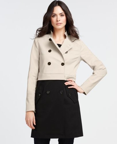 Ann Taylor's Latest Collection
