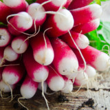 What's in Season | Spring What's in Season | Spring