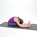 Forward Bend With Rounded Back