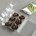 Plastic Egg Carton Mini Greenhouse