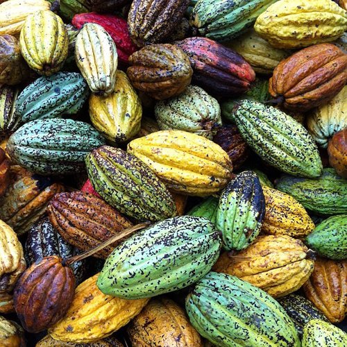 Celebrity Chef Food Photos | March 24, 2013