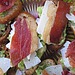 Crisped Proscuitto and Avocado Crostini