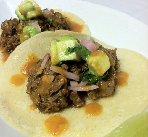 Brisket Matzo Tacos Brisket Matzo Tacos
