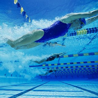 Reasons to Swim