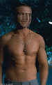 The Shirtless Wonder
