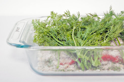 Top Off With Dill Fronds Top Off With Dill Fronds