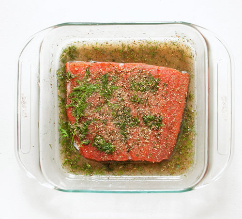 Let the Salmon Cure Let the Salmon Cure