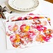 Apple-Print Placemats
