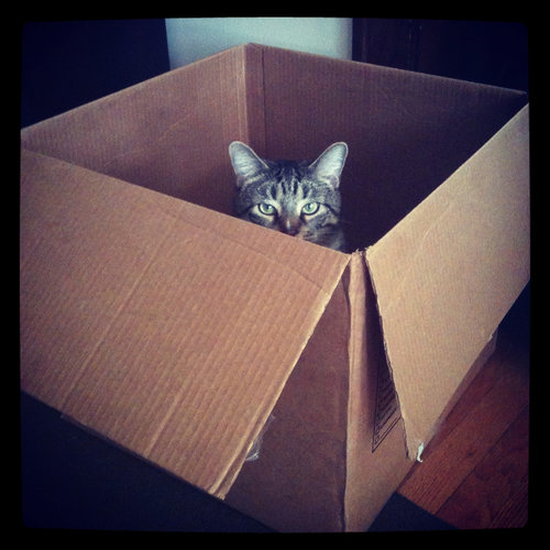 You Don't See Me You Don't See Me
