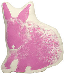 Bunnies Around the Home